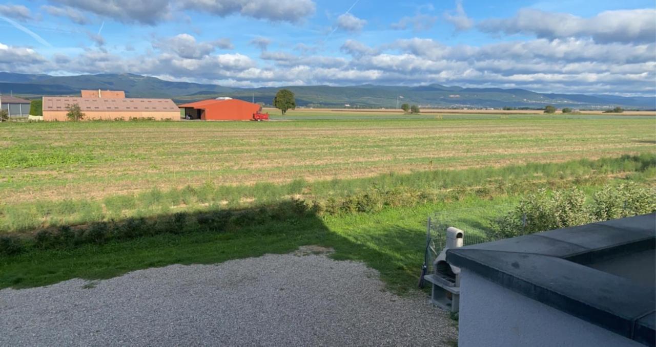 Gites Bretzel et Cigogne Munwiller Extérieur photo